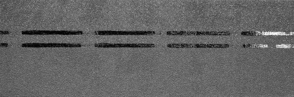 Коньково-карнизная черепица Docke Premium, черника купить в Туапсе